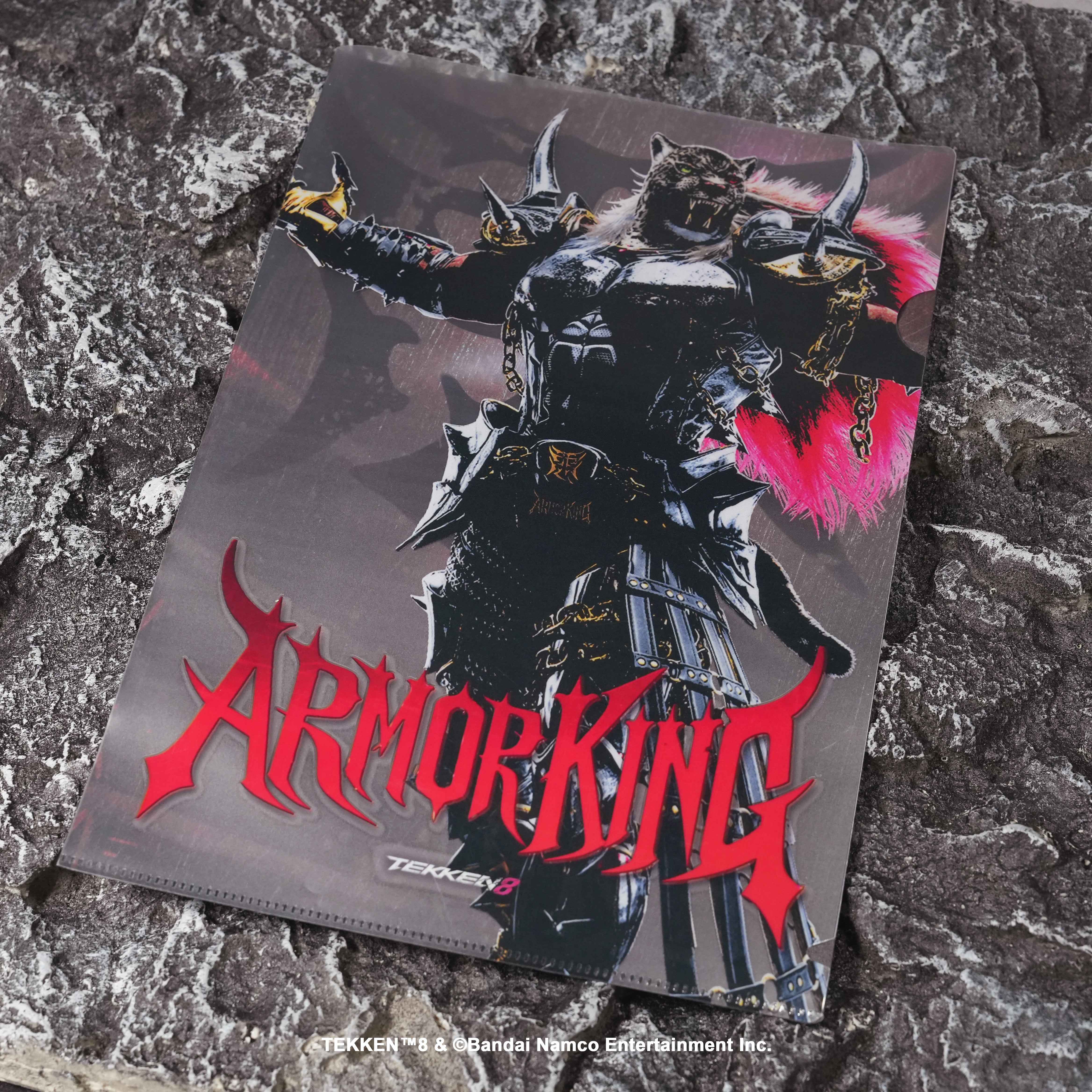 TEKKEN 8 A4 Clear Folder Armor King