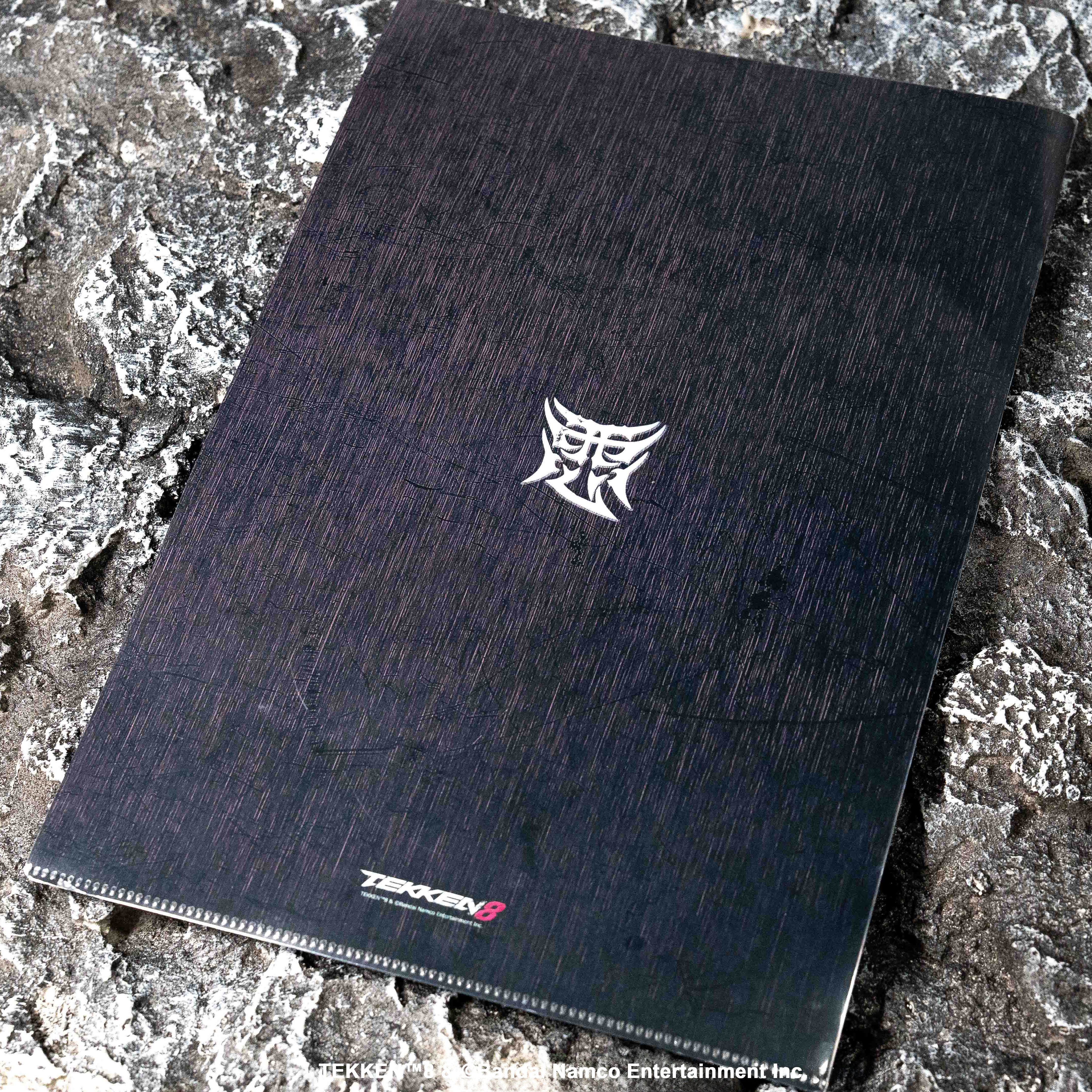 TEKKEN 8 A4 Clear Folder Armor King